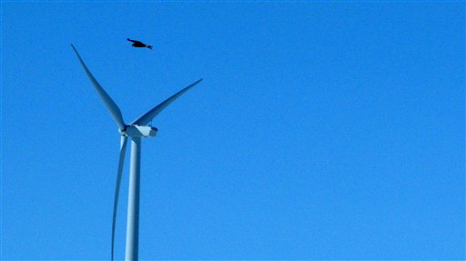 Wind Energy Company Pleads Guilty to Eagle Deaths