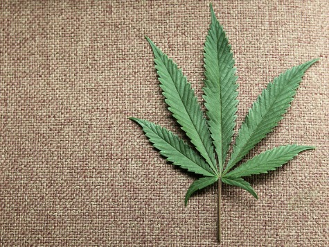 NY Gov. Andrew Cuomo Executive Order Allows Limited Use of Medical Marijuana