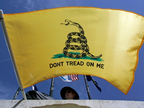 Fellow Patriots: Rally for Freedom–and Against the IRS