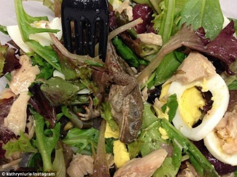 Dead Frog Found in New York Woman's Salad