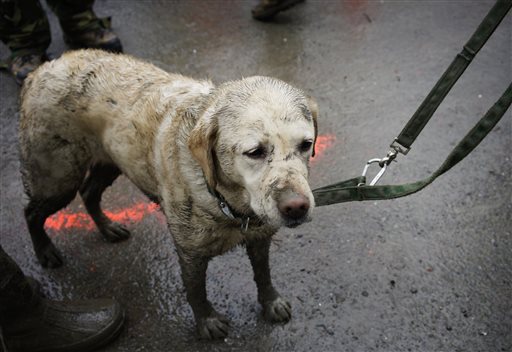 Mudslide Death Toll Rises; Search Dogs Take Break