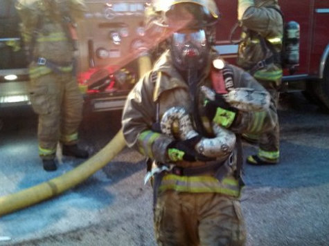 Firefighter Rescues 6-Foot Python from Blaze