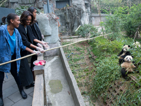 Michelle Obama in China: What's the Cost of Feeding Pandas?