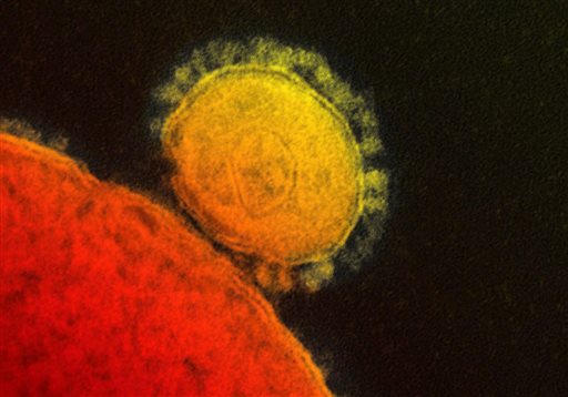 CDC Confirms First Case of MERS Virus in United States