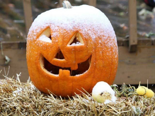 Midwest Hit With Cold Snap, Earliest Halloween Snow in a Decade