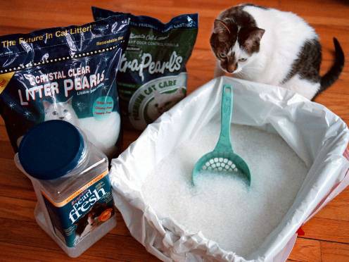 Is Cat Litter to Blame for Radiation Leak at Nuclear Dump?