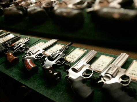 Democratic Senators Press for Gun Control to ‘Honor’ Sandy Hook Victims