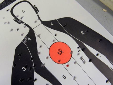 Florida Lawmakers Asked to Regulate 'Crazy' Backyard Gun Ranges