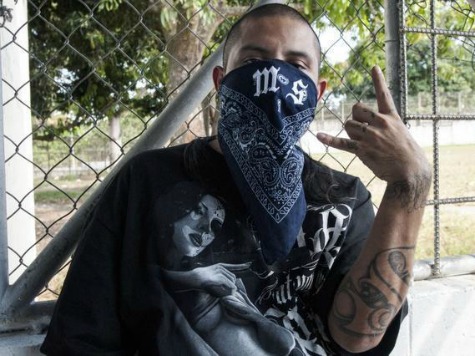 Jan Brewer: MS-13 Gang Members Could Be Crossing Border with Children