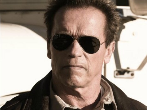 'Last Stand' Star Arnold Schwarzenegger Talks Gun Control, Movie Violence