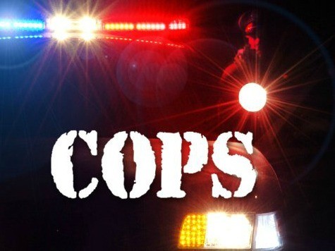 Color of Change Targets 'Cops,' Says Show Dehumanizes Blacks