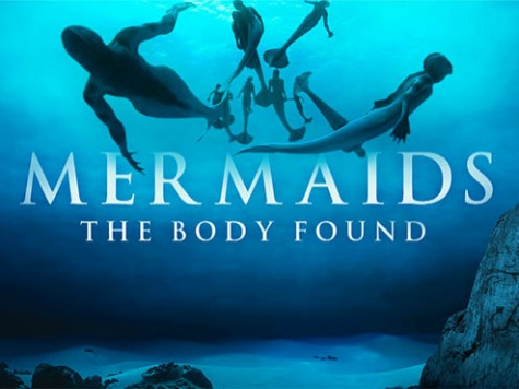 Animal Planet Mermaid Hoax Draws Big Ratings, Outrage