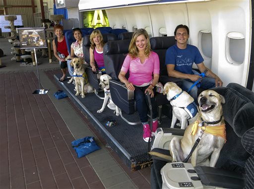 A Hollywood Studio Where Dogs Learn to Fly