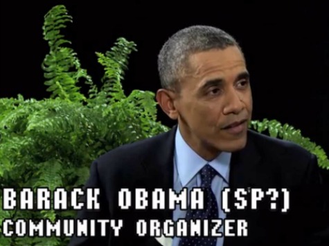Obama's 'Between Two Ferns' Appearance Boosts Traffic to HealthCare.Gov
