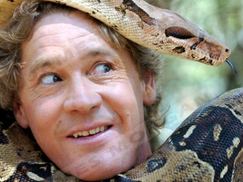 Why 'Crocodile Hunter' Steve Irwin's Final Moments Should Be Televised