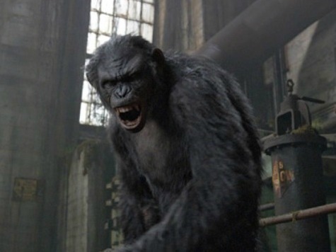 Report: 'Apes' Sequel Pushes Gun Control