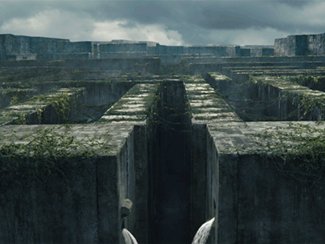 'The Maze Runner' Review: Lost Boys Vs. The Stability of Tyranny