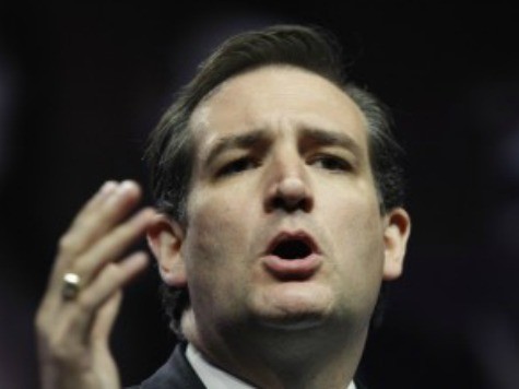 Ted Cruz: Mainstream Media Like 'Timid,' 'House-Trained' Republicans