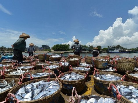 World View: Vietnamese Boatmen Defy China's Fishing Ban in South China Sea