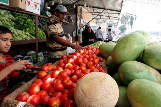 G20 to Tackle Rising Food Prices: Report