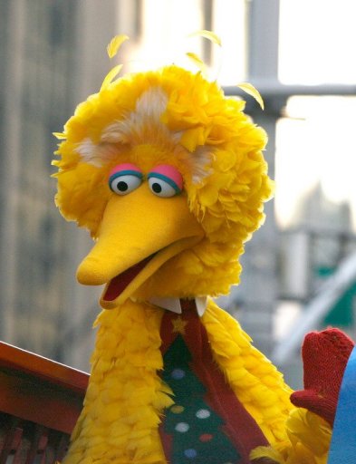 How Sesame Street Tones Down for Afghanistan
