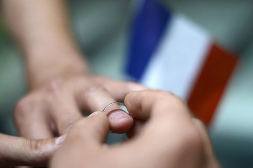French Senate Adopts Gay Marriage Law