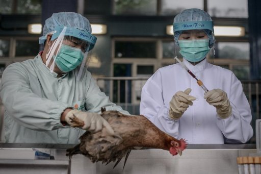 China H7N9 Bird Flu Spreads to New Province