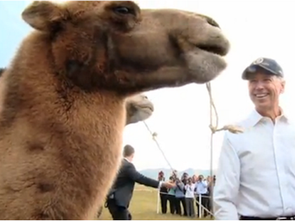 WH Tweets Biden with Camel as Egyptian Military Cracks Down