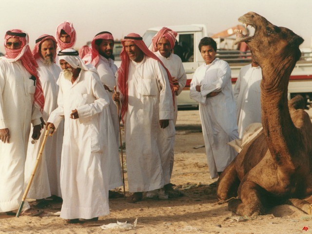 Saudi Says First Camel Tests Positive for MERS Virus