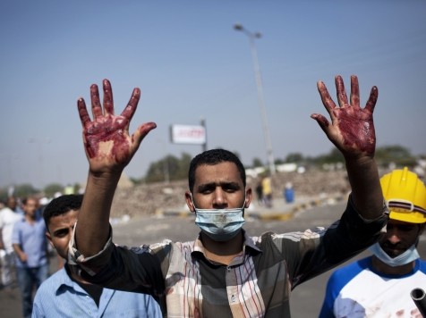 World View: Analysis of the Crisis in Egypt