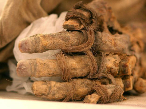 Middle Schoolers Discover 7,000-Year-Old Mummy in Chile