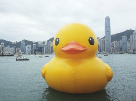 World-Renowned Giant Rubber Duck Goes Missing in China
