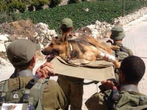IDF Leaves No Man–And No Dog–Behind