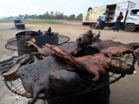 UN: Ebola Outbreak Likely Caused by Bushmeat