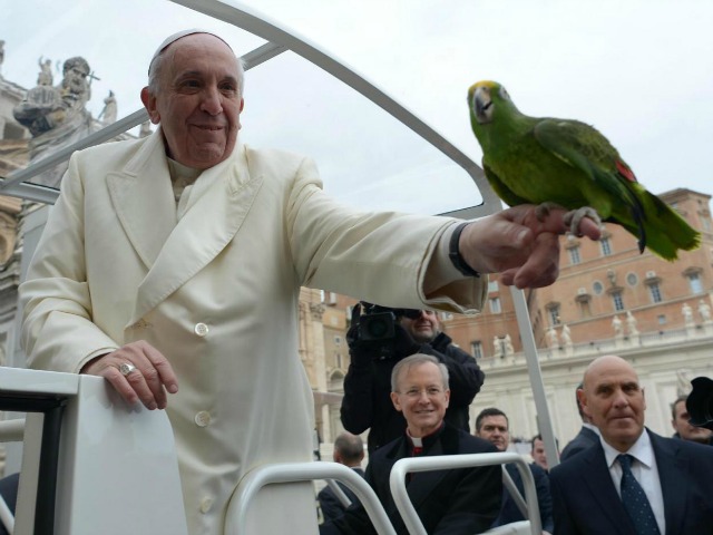 Pope Francis Blesses Former Male Stripper's Parrot