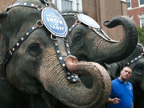Ringling Bros. Circus Gone in LA by 2017