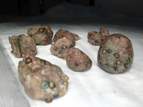 Tainted Meatballs: SF Dogs Being Targeted Again