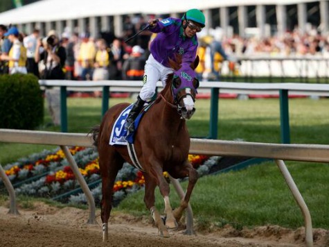 California Chrome Wins Preakness, One Victory from First Triple Crown Since 1978