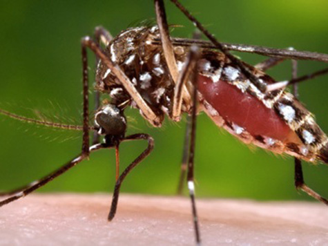 Two Dead as West Nile Virus Creeps Across California