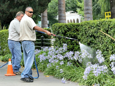 Drought Update: Added Water Cops Clamp Down on H2O Abusers in L.A.