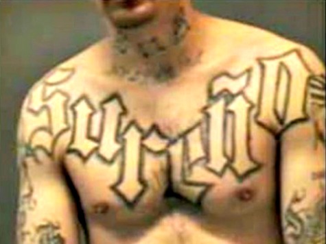 Arrested Mexican 'Sureno' Gang Member Admits to Stabbing Rival Gangsters