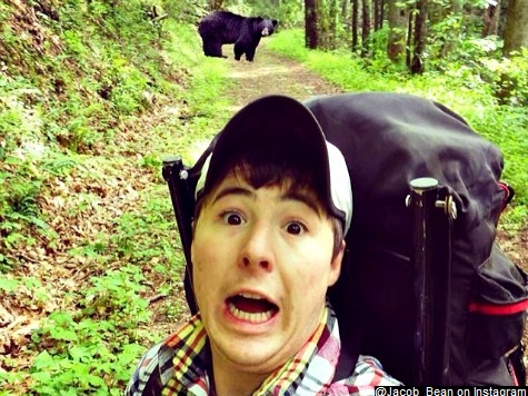 Forest Service Warns of 'Grizzly End' for People Taking Selfies with Bears