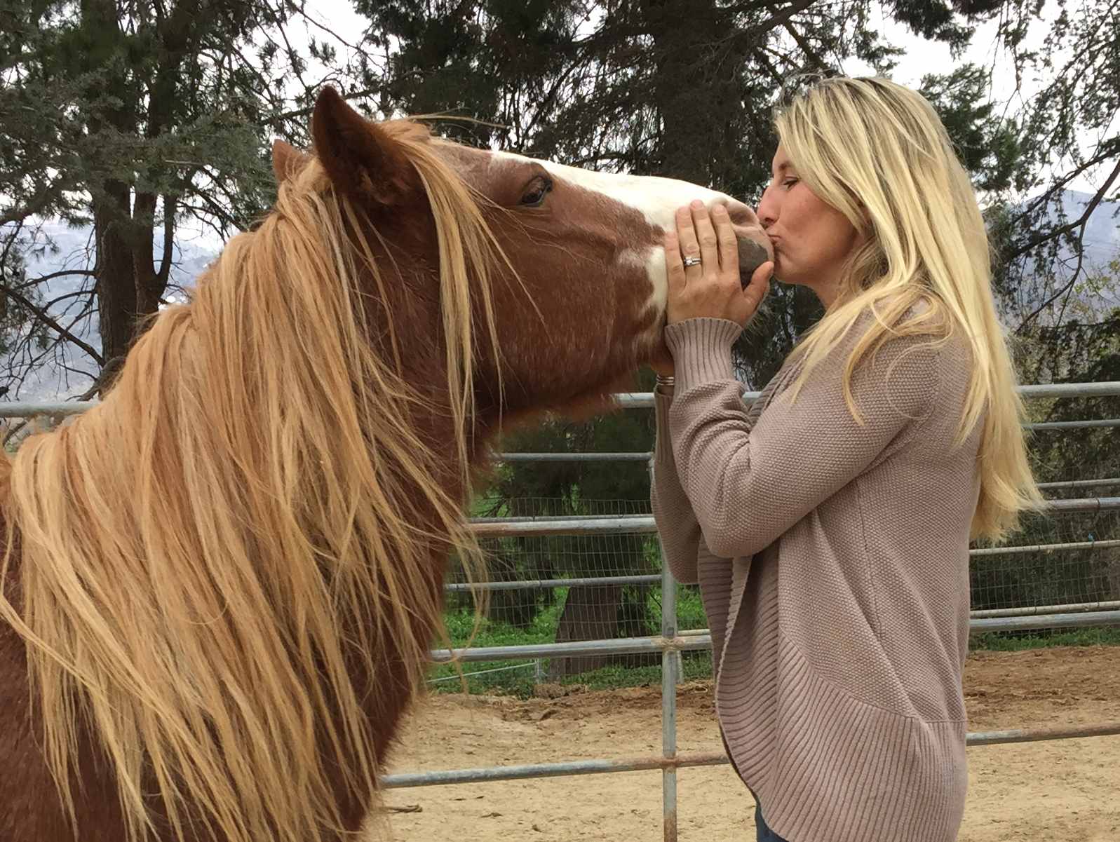 Pony Ride Owner Sues Animal Rights Activists for Defamation