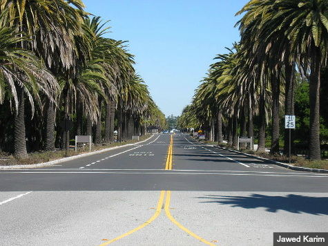 Palo Alto Takes First Place as America's Snobbiest City