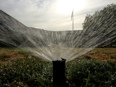 Drought Update: Water Abusers Sent to 'Water School' in Santa Cruz