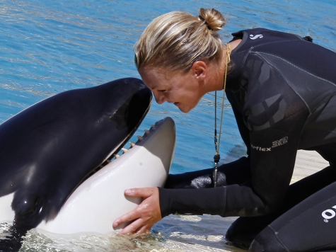 Democrats' Battle Against Sea World Moves to Congress