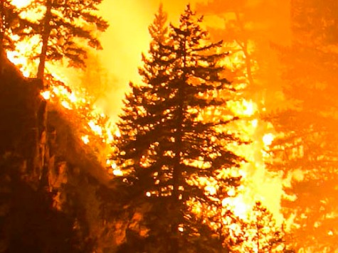 Report: 'Charter Forests' Key to Stopping Massive Wildfires