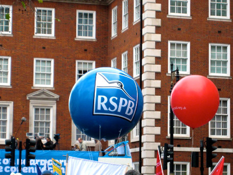 RSPB & National Trust Criticised for 'Ridiculous' Anti-Fracking Report