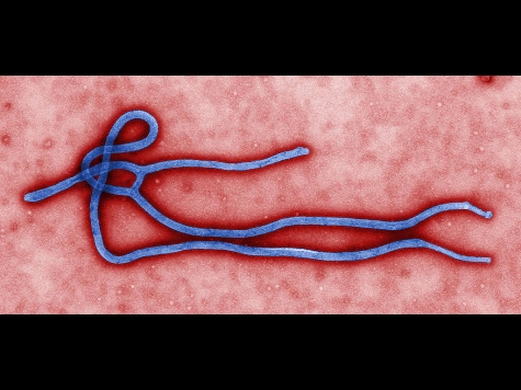 UK Hospitals 'On Alert' Over Ebola Virus