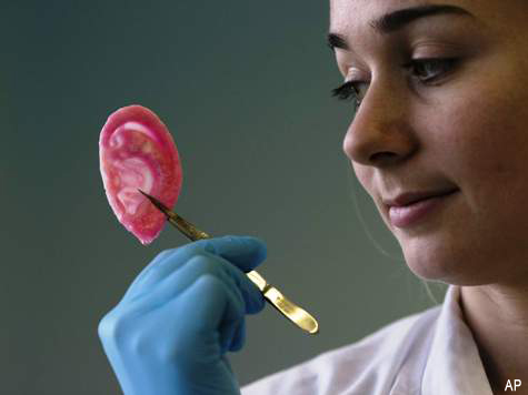 UK Lab Growing Human Body Parts